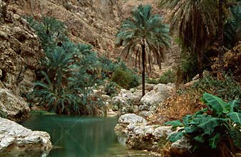 Wadi Shab