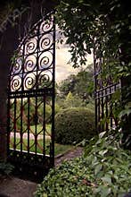Garden with an Open Gate