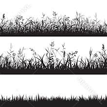 Set of grass seamless borders. Black silhouette of grass, spikes and herbs. Vector.