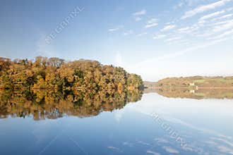 Autumn woodland reflecting in lake