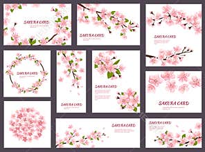 Sakura vector blossom cherry greeting cards with spring pink blooming flowers illustration japanese set of wedding