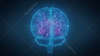 Excitation of Human Brain Zones, Brain Activity