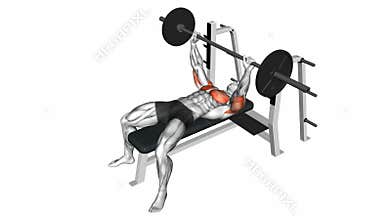 Barbell Bench Press exercise