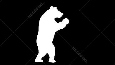 Bear silhouette boxing 2D animation