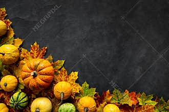 Fall dark stone background with autumn leaves and little pumpkins, top view and copy space