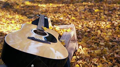 The guitar lies in the forest on the yellow leaves. Yellow leaves fall on the guitar. Autumn forest