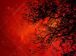 Black tree against orange galaxy