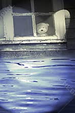 They`ve found teddy!