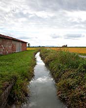Italian landscape in Piedmont, stream and rice fields in a rainy