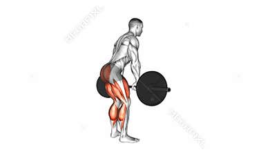 Deadlift exercise with barbell