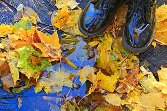 Boots on yellow autumnal leaves and pool. Rainy weather