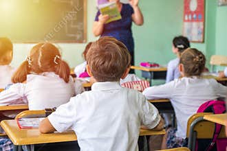 group of school kids sitting and listening to teacher in classroom from back
