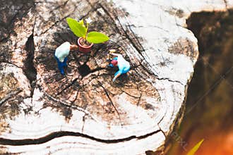 Miniature Greenhouse concept, miniature mini figures with planting tree and protect nature background. Replacement of old trees.
