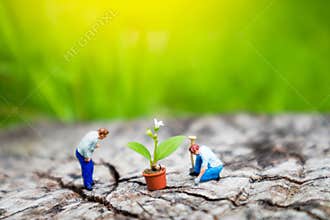 Miniature Greenhouse concept, miniature mini figures with planting tree and protect nature background. Replacement of old trees.