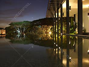 Night view of a pond by wooden structures