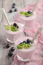Homemade blueberry yogurt with blueberries and mint.
