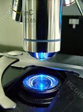 Microscope