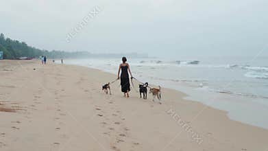 Woman dogs walk along the coastline, group three dog ocean beach seaside sea