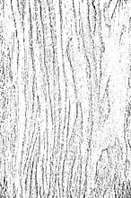 Distress old dry wooden texture.