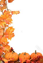 Pumpkins with fall leaves