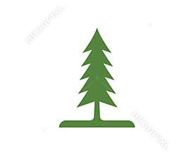 Cedar tree logo template illustration