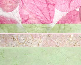 butterfly leaves and rice paper