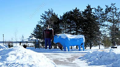Bemidji, MN - 8 FEB 2019: Several young men take photos by the statues, Paul Bunyan and Babe the Blue Ox in winter.