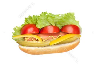 Hot dog with fresh vegetables