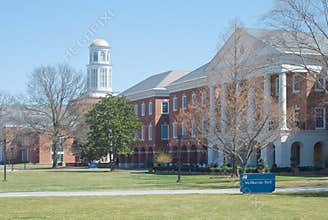 An American University