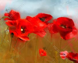 Spring and summer flowers – red poppies field