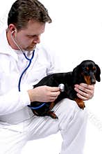 Medical Professional
