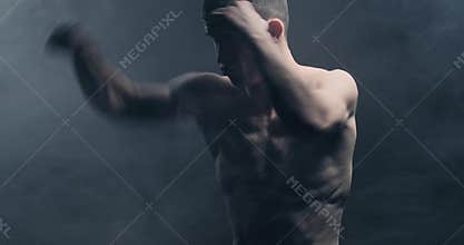 Martial arts fighter