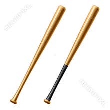 Baseball Bat