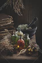 Bottles of essential oil, mortar of dried moss, old books, dry roots, nuts and plants.
