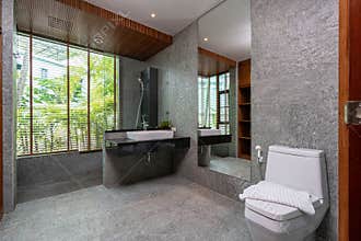Luxury bathroom features basin, toilet bowl