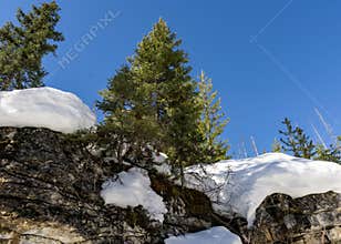gorgeous wintry scene early spring in Marble Canyon provincial park british columbia canada