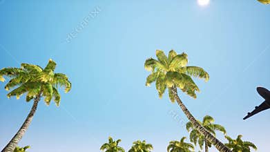 Plane is landing. Flying low over the ocean. In foreground trees palms near water.