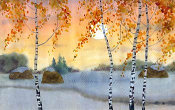 Birches in snowy field