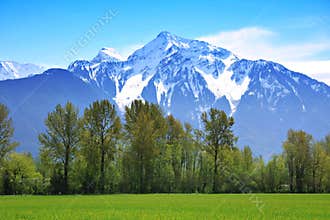 Rocky mountains