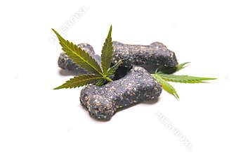 Dog treats and cannabis leaves isolated over white background