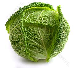Savoy Cabbage