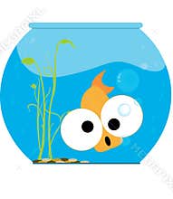 Funny Fish