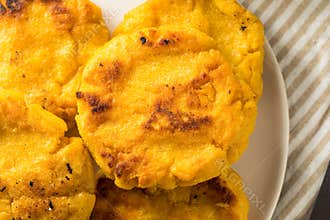 Homemade Corn Meal Arepas