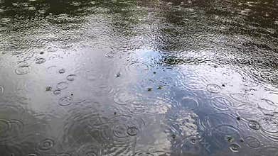Light Rain At Noon On Lake. Rain Drops Falling on The Surface of The Lake.