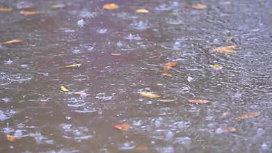 Rain water drops falling into puddle on asphalt, flooding the street. Road floods due to the heavy rain in wet season, slow motion