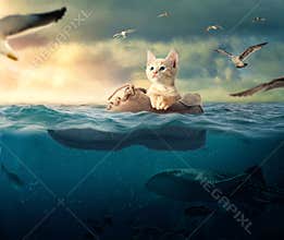 Little kitten floating in his boat boot