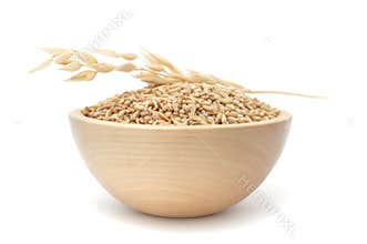 Bowl of Oats