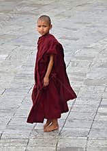 A little Buddhist monk in maroon robe looking deeply from afar