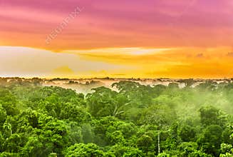 Pink sunset over the Amazon rain forest in Brazil