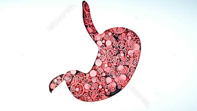 The healthy stomach from gears. Anatomy concept. Realistic 4k flat animation.